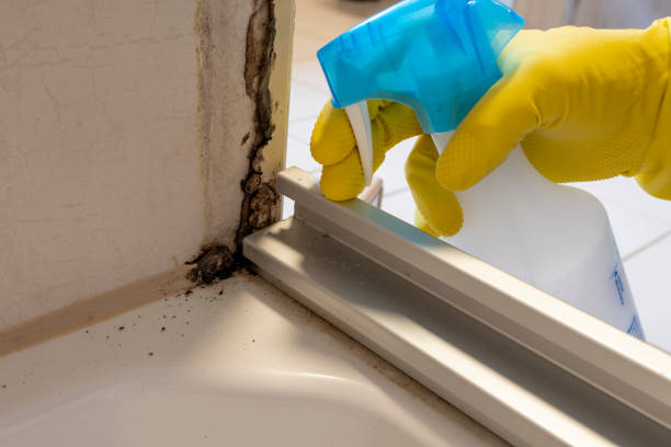 Best Residential Mold Removal  in Buna, TX