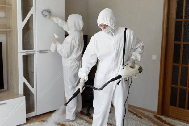 Professional Mold Removal in Buna, TX